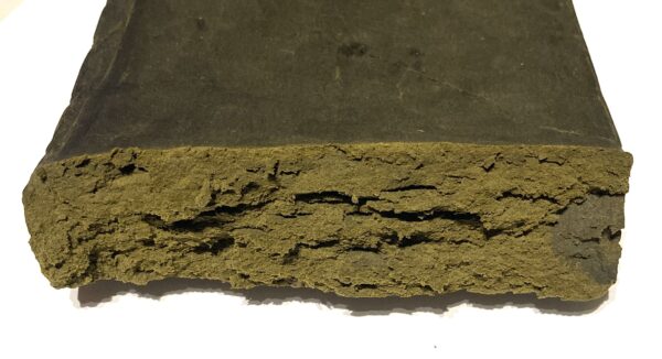 bc medi hash