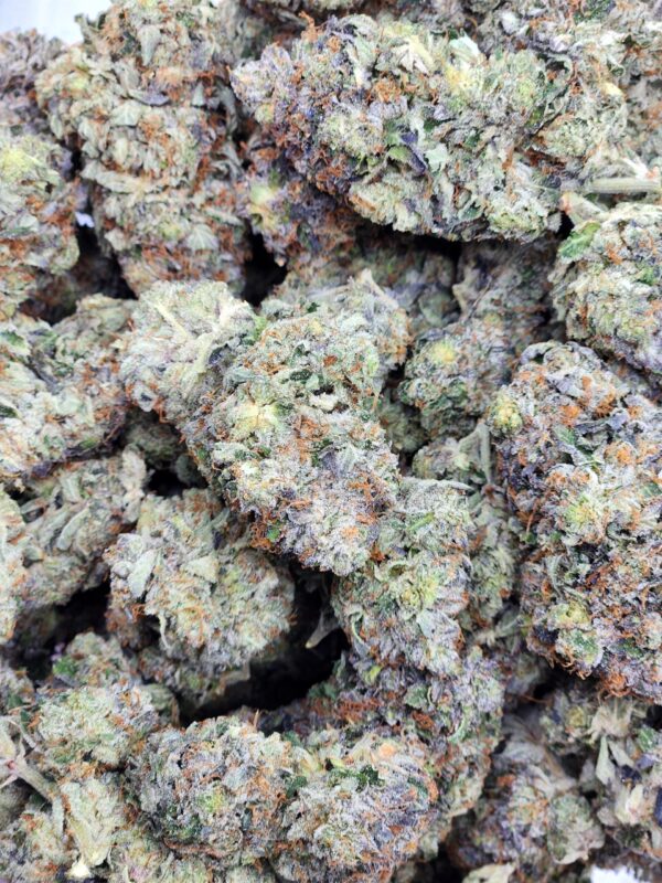 bag-mku-og-scaled-1.jpg