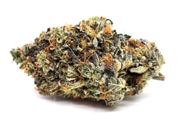 bud-mku-og-scaled-1.jpg