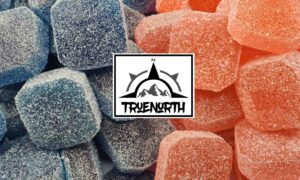 True North Gummy ** Opened ** Blue Raspberry + Strawberry
