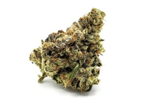 Rockstar Tuna ⛽