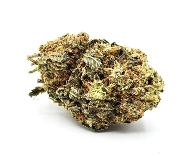 flower - bud - star warz
