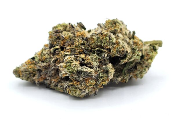 flower - cherry chimera - bud