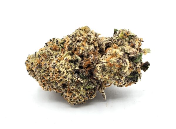 flower - chimera - bud