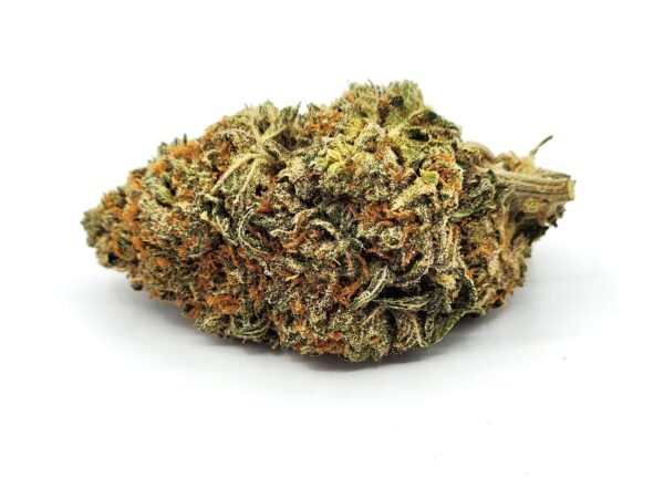 flower - red pop runtz - bud