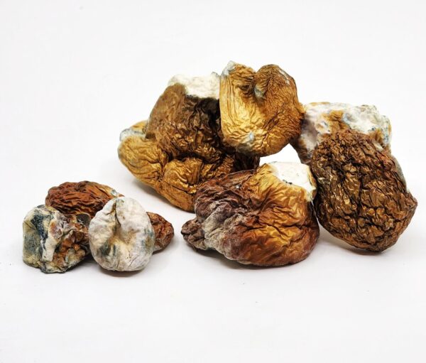 mushrooms - dino eggs