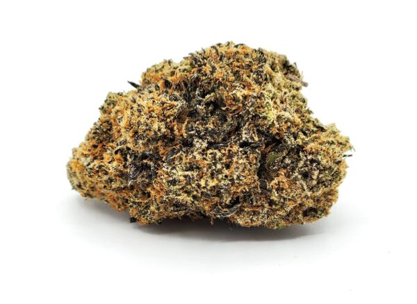 sub-zero - flower - bud