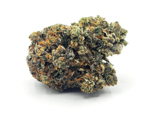 rockstar - flower - bud