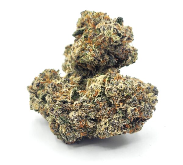 slurricane - flower - bud