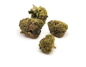 Girlscout Cookies Smalls