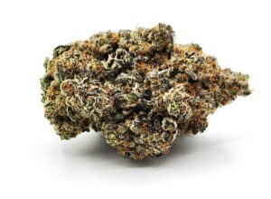 Kool Whip (AAAA Okanagan Grown)