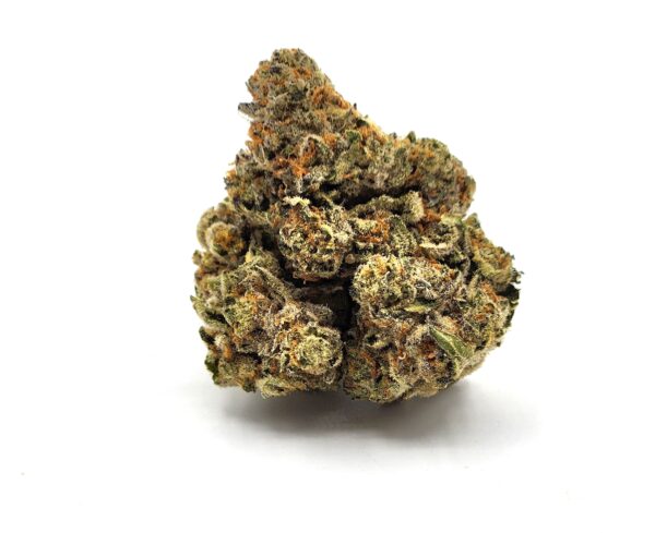 larry love - flower - bud