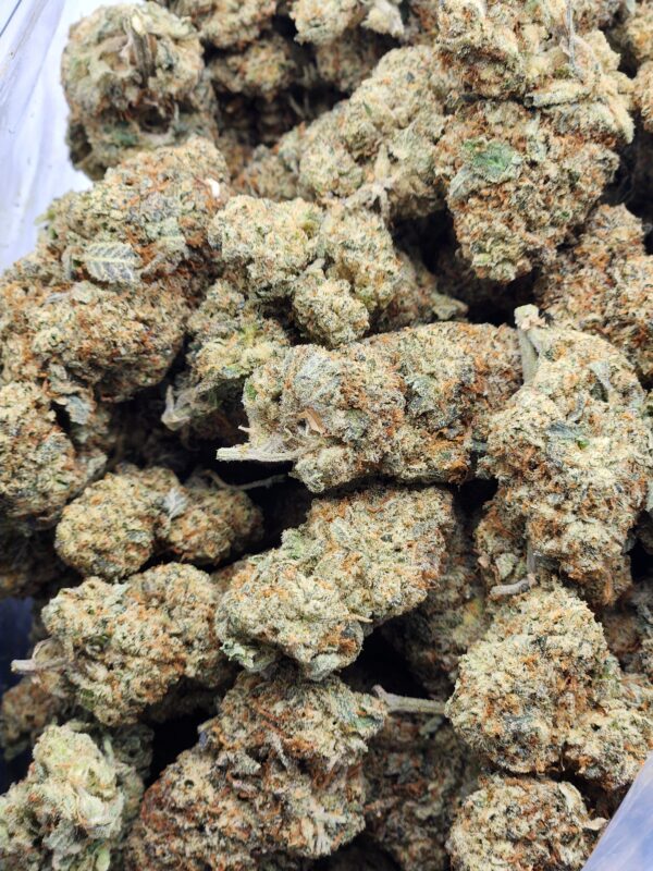 master splinter - flower - bag