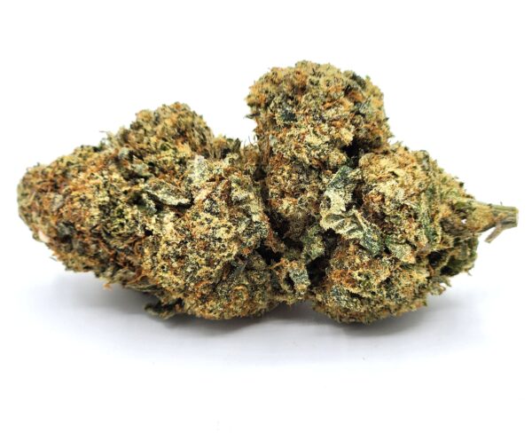 master splinter - flower - bud
