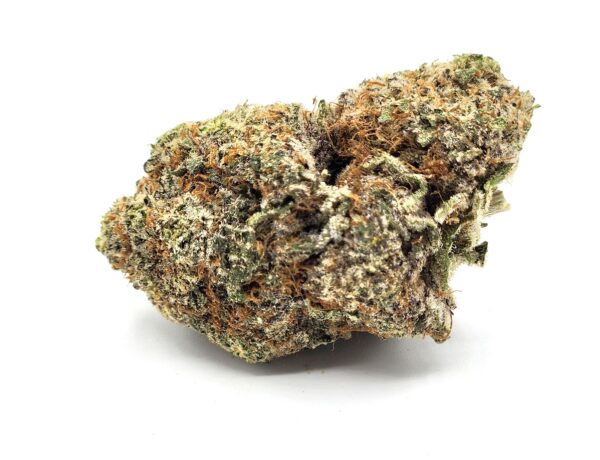 silky johnson - flower - bud