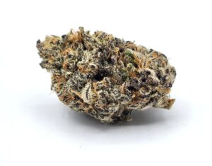 Sophie (AAAA Okanagan Grown)