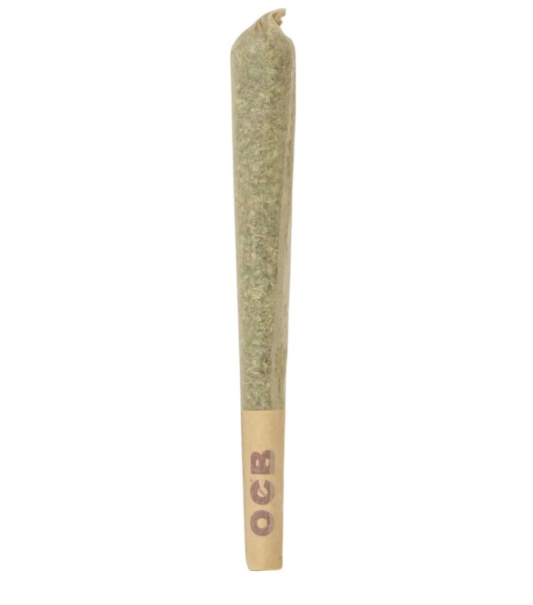 1g Single Pre-roll Cone