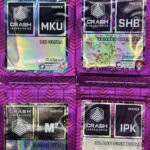 CRASH Shatter (Indicas)