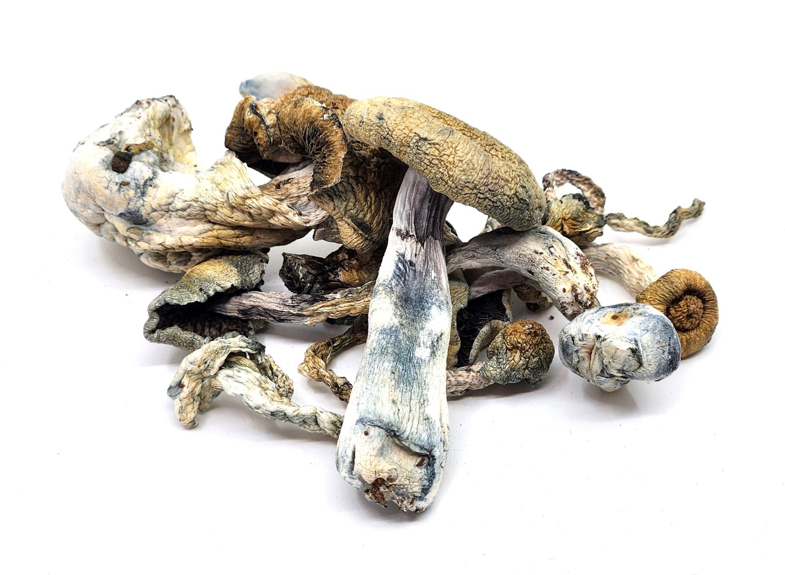 Mushrooms-hypo-hillbilly-scaled-1.jpg Hypo Hillbilly (Shrooms) ***Dust / Bottoms *** - Image 1