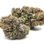 Blue Fin Tuna AAAA (Gas) ⛽ORGANIC