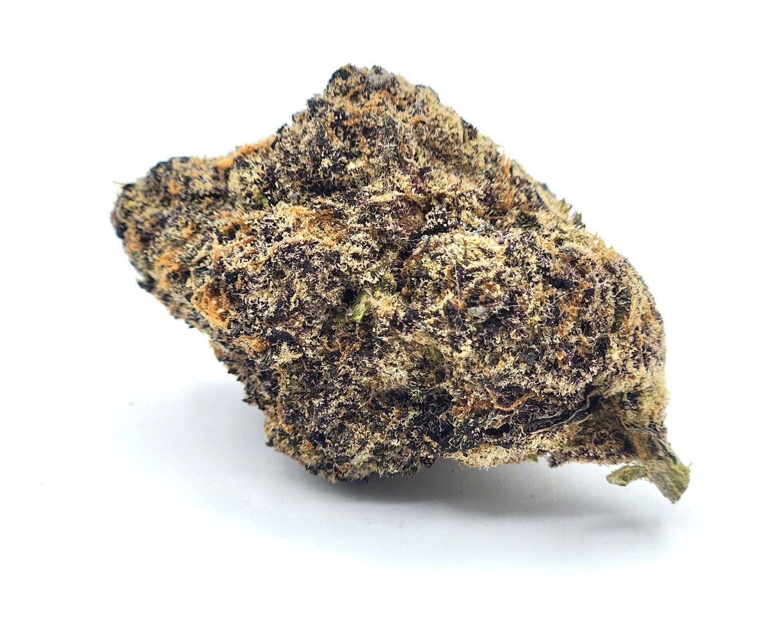 flower-bud-temptation-scaled-2.jpg Temptation - Image 1