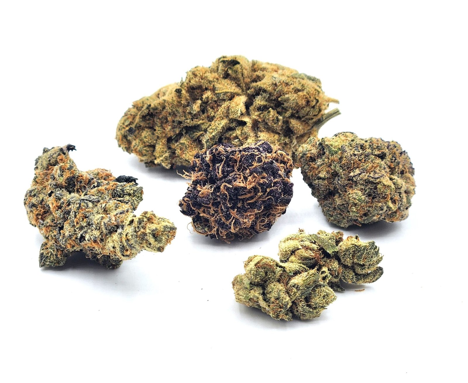 Mixed Buds
