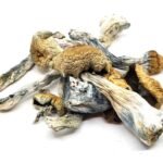 Melmac (Shrooms) *** Dust / Bottoms ***