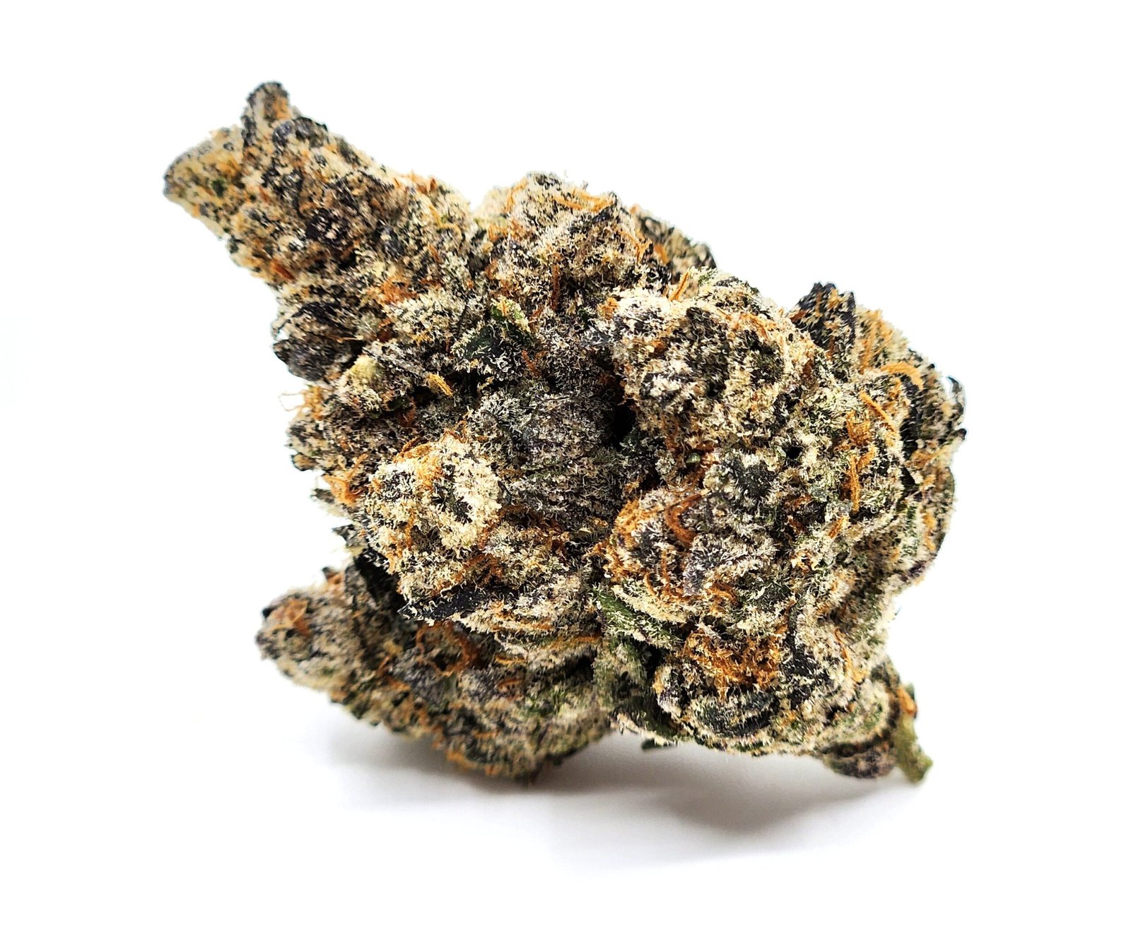 licorice-rocks-flower-bud-scaled-1.jpg Licorice Rocks - Image 1