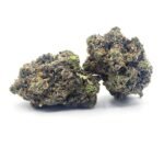 El Muerte (Gas) ⛽🔥⛽🔥