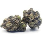 El Muerte (Gas) ⛽🔥⛽🔥