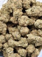 Blue Zushi - Image 2