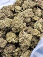 Gary Payton - Image 2