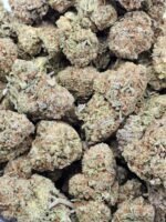 Purple Ghost - Image 2