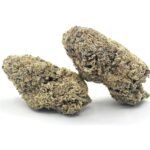 [❄️SNOW CAPS❄️] Tropical Popsicle