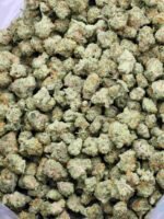 Gummy Bears (Smalls) - Image 2