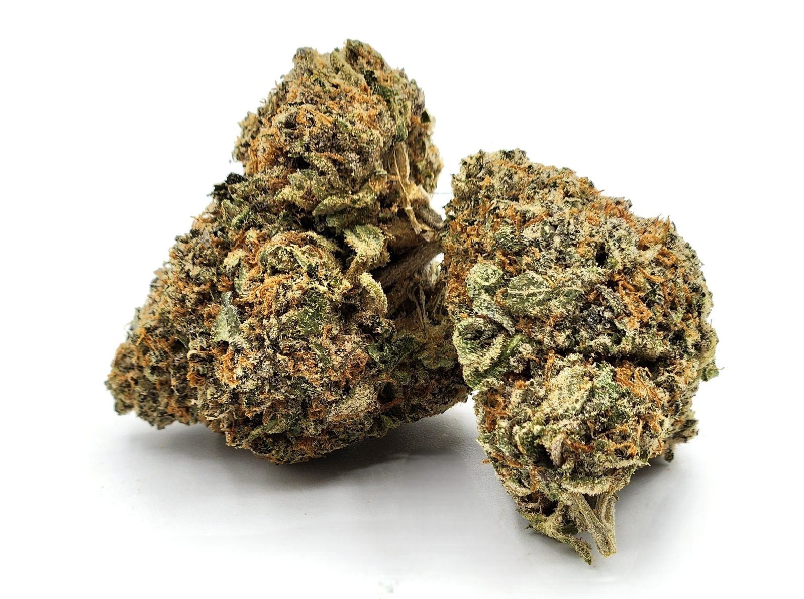 cookie monster - flower - bud Cookie Monster - Image 1