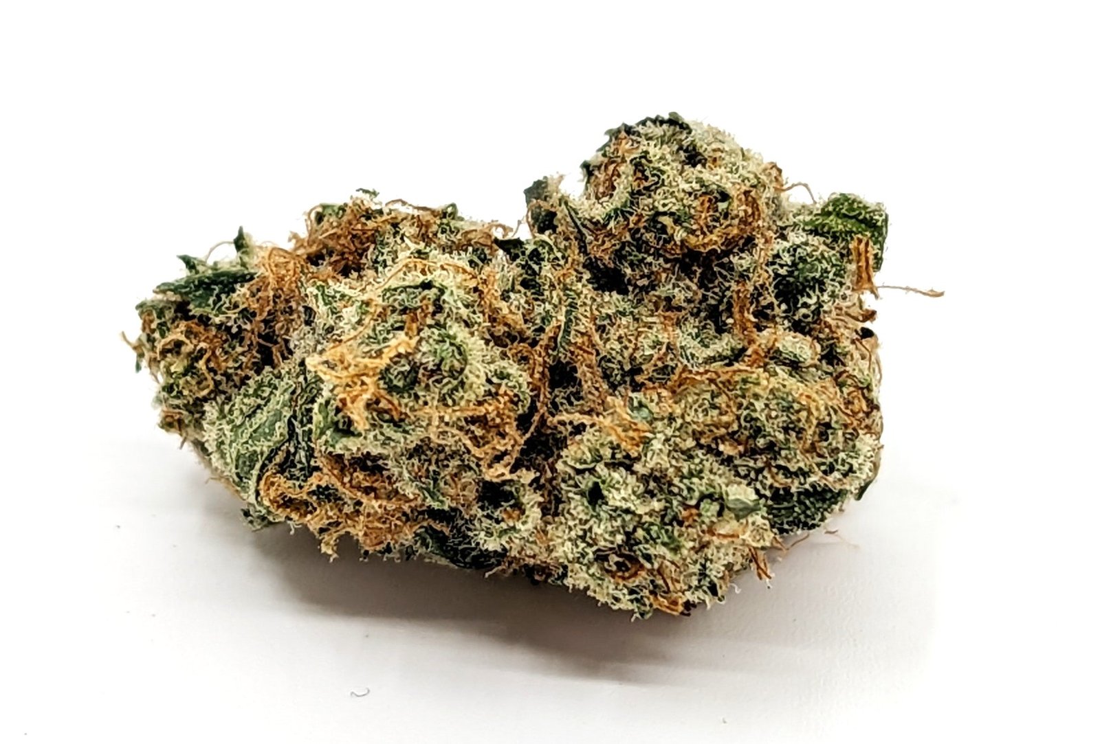 flower-bud-cactusbreath Cactus Breath - Image 1