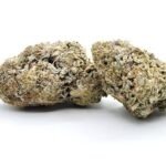 Fun Dip ❄️Snowcaps❄️