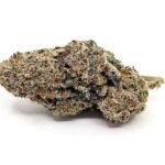 Purple Afghani