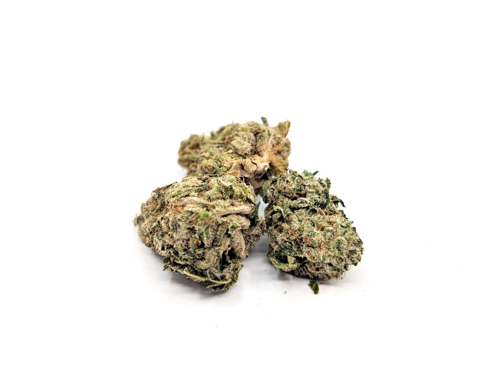 flower-bud-bigcircle Big Circle - Image 1