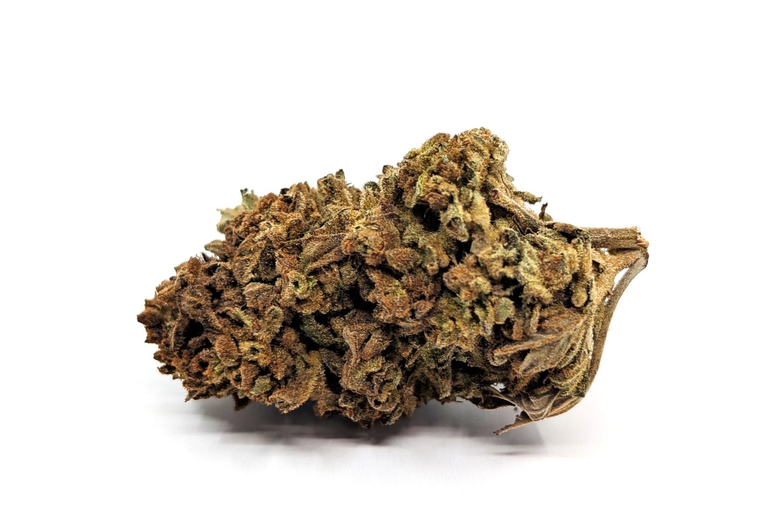 flower-bud-blackcherrypunch Black Cherry Punch - Image 1
