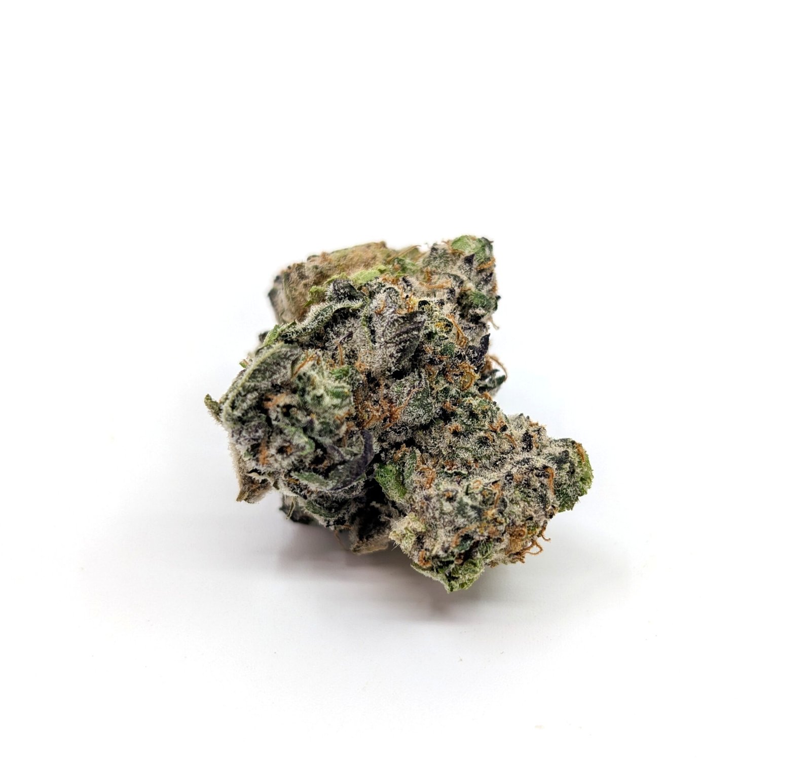 flower-bud-dante Dante - Image 1