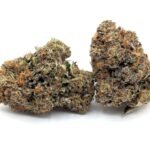 Pink MKU (Gas) ⛽🔥⛽🔥⛽