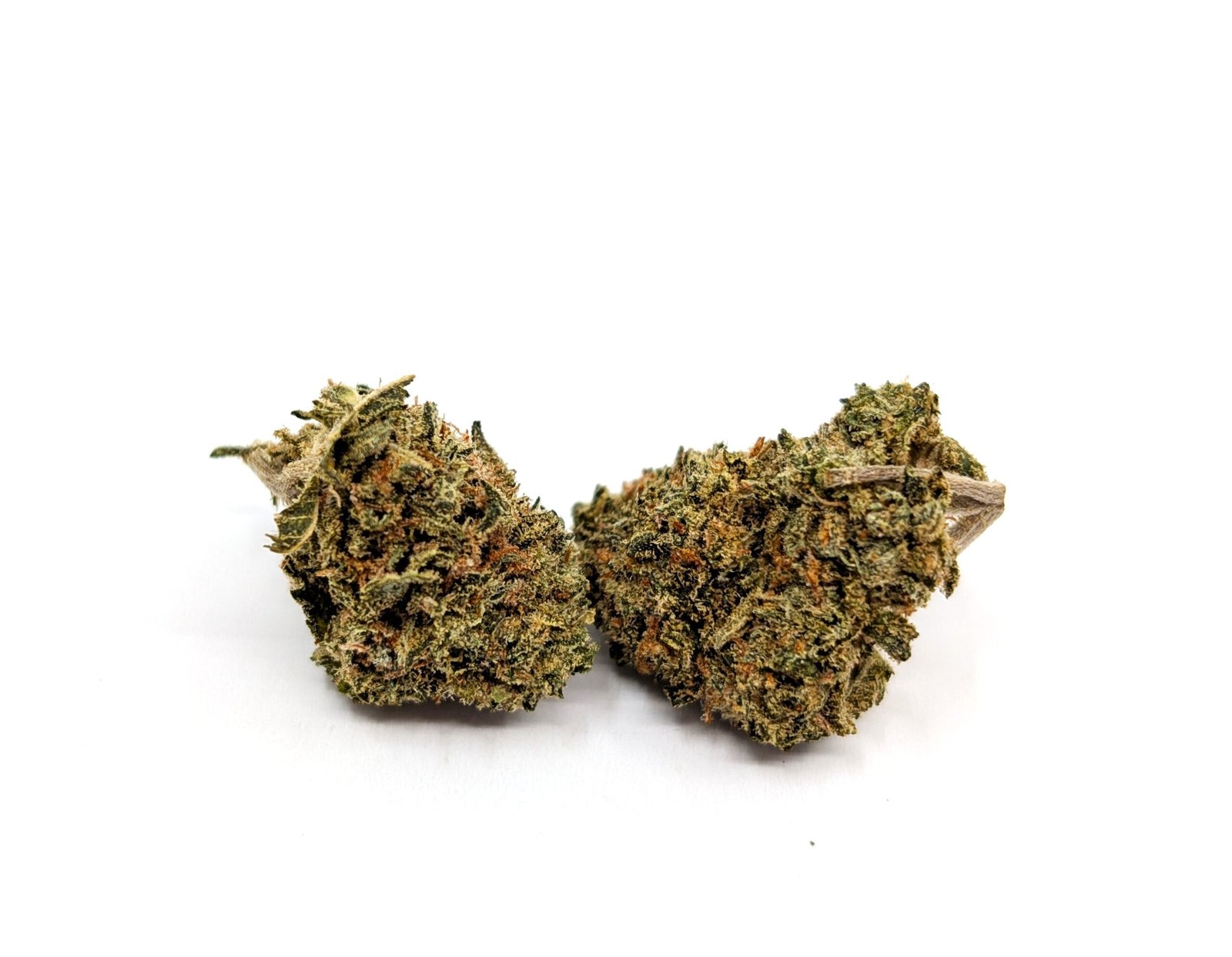 flower-bud-skittles Skittlez - Image 1