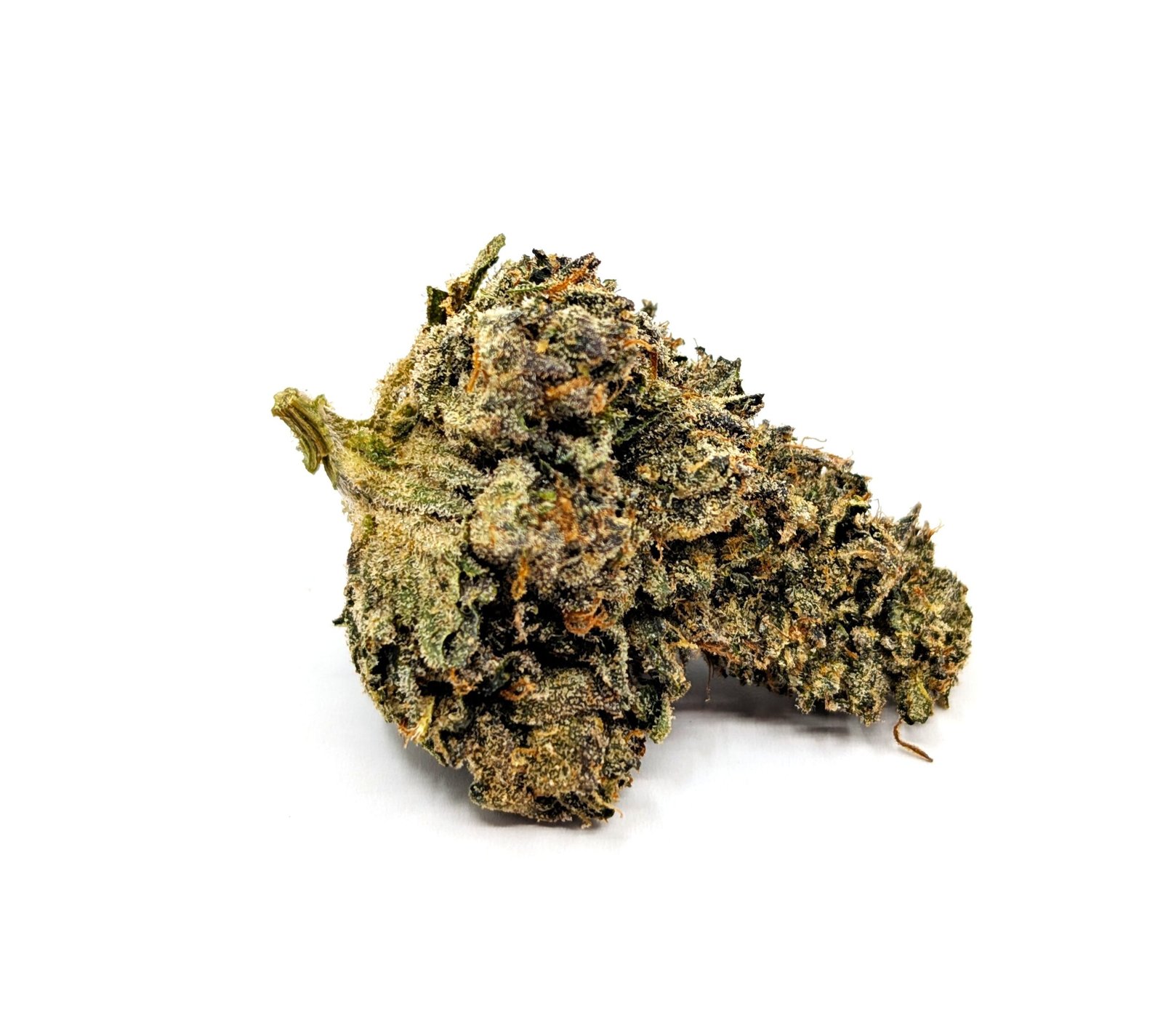 flower-bud-sweetpink Sweet Pink - Image 1