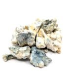 Freeze Dried Enigma Mushrooms