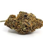 LA Pop Rocks