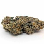 Gelato